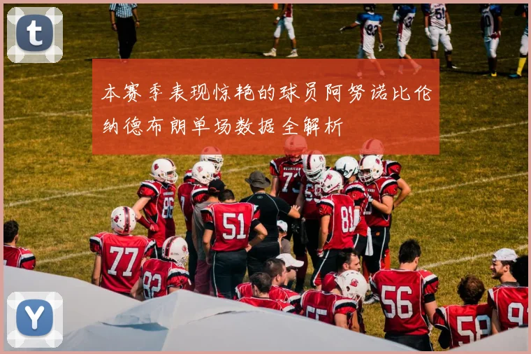本赛季表现惊艳的球员阿努诺比伦纳德布朗单场数据全解析