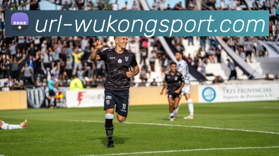 悟空体育APP 封面图